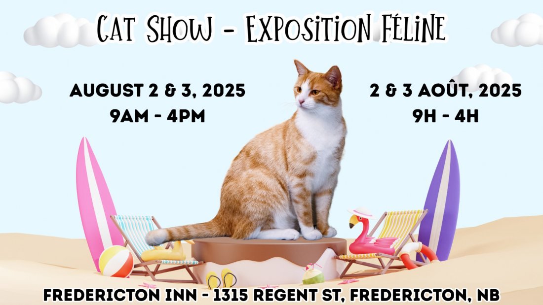 Fredericton Cat Show 2025, 2 August | Event in Fredericton | AllEvents