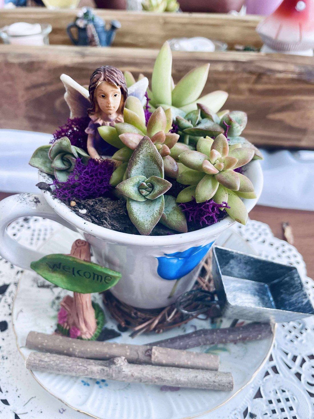 Fairy Tea Cup Garden DIY | Event in Allen | AllEvents