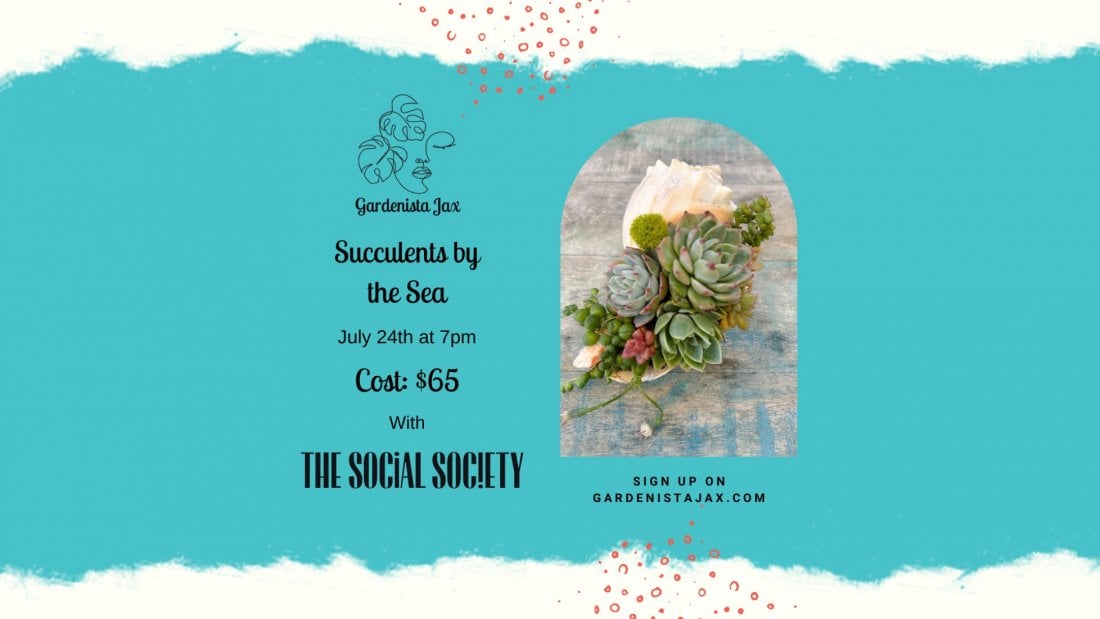 Succulents be the Sea Workshop with The Social Society, 24 July | Event in Nocatee | AllEvents