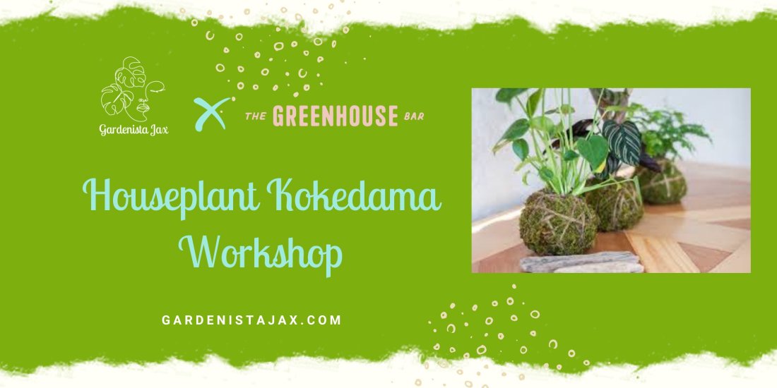 Houseplant Kokedama Workshop with The Greenhouse Bar