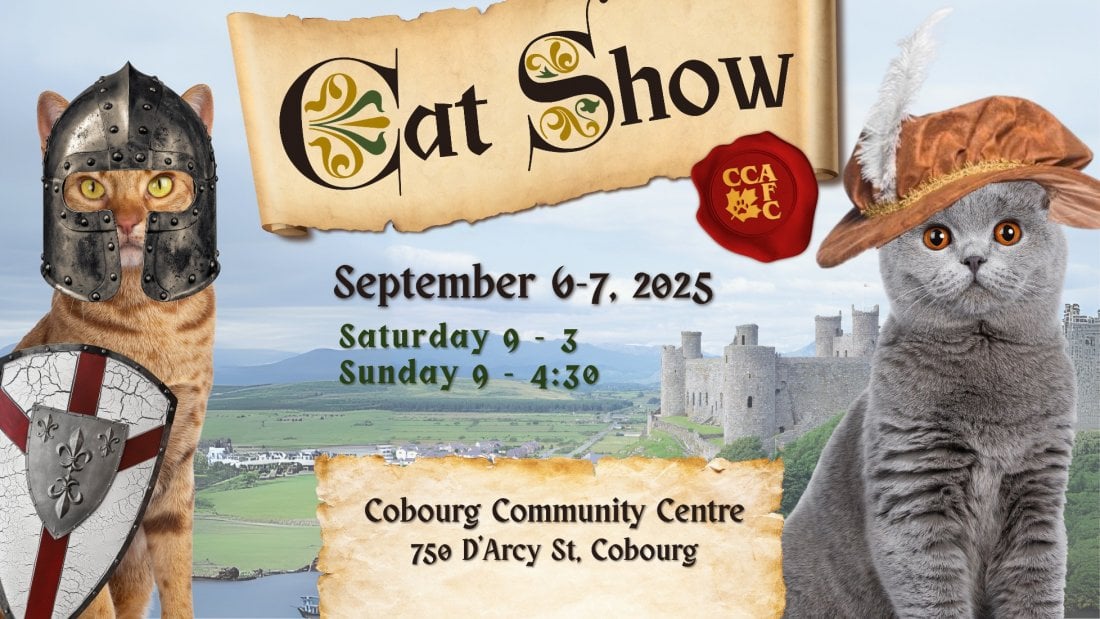 Motor City Cat Show 2025, 6 September | Event in Cobourg | AllEvents