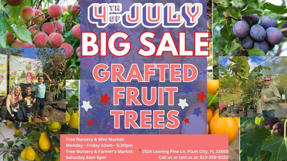 4th of July grafted fruit tree sale, A Land of Delight Natural Farm ...