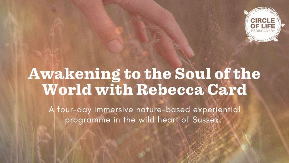 Awakening to the Soul of the World: Overnight Nature Experience with Rebecca Card, 27 September | AllEvents