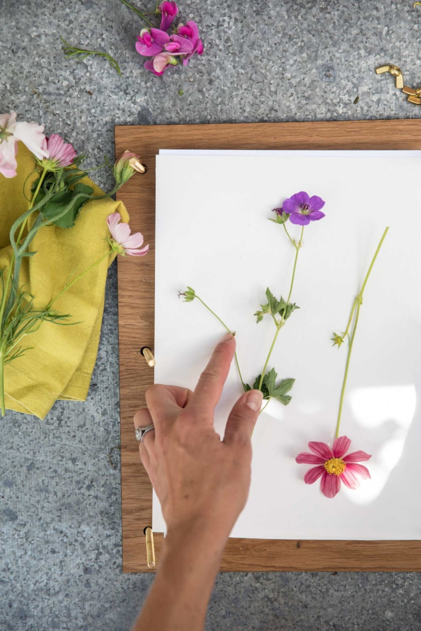 Flower Pressing with JamJar Edit, 12 August | Event in Lewes | AllEvents