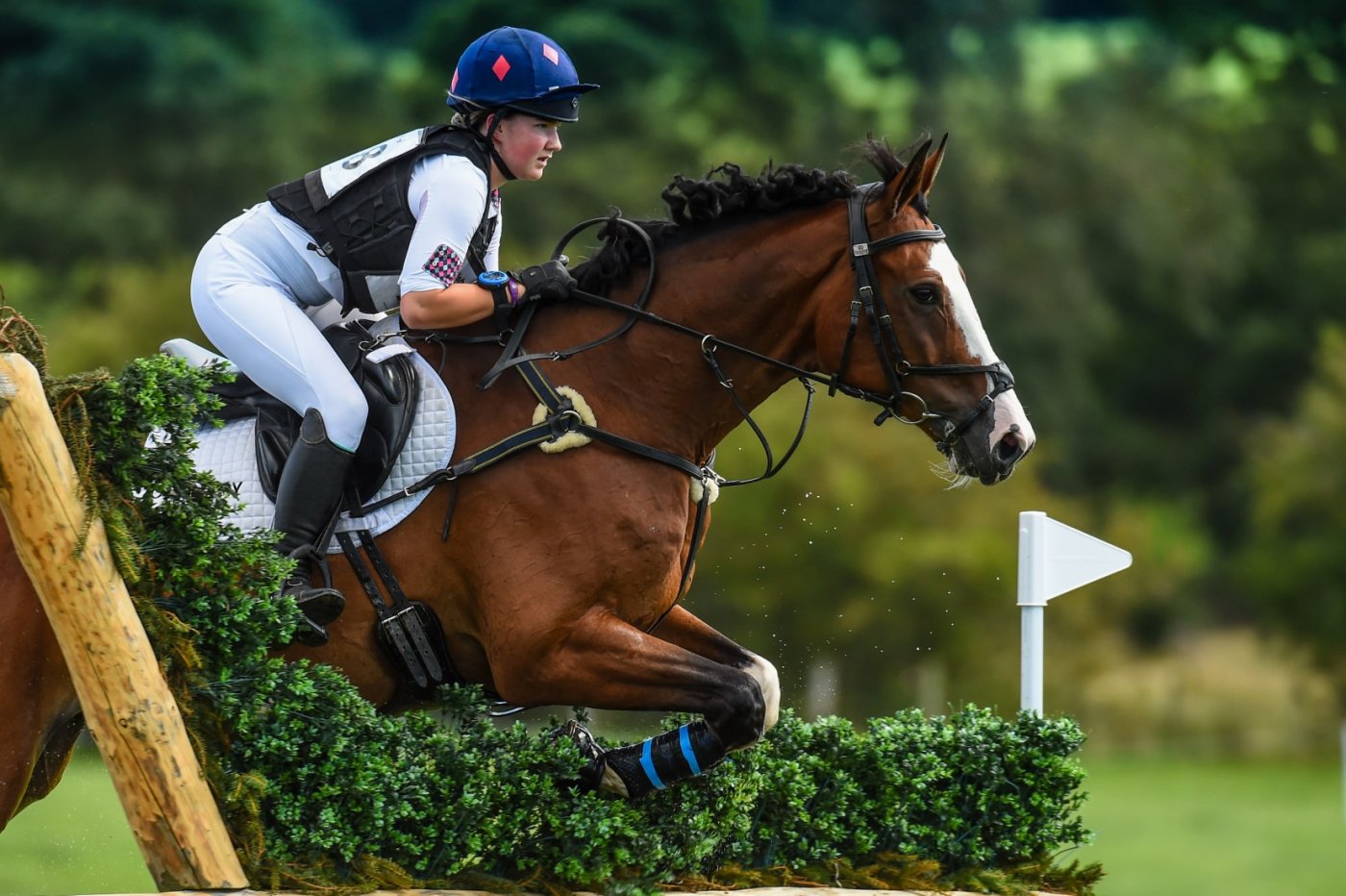 Scone Palace International Horse Trials, 21 August | Event in Perth | AllEvents