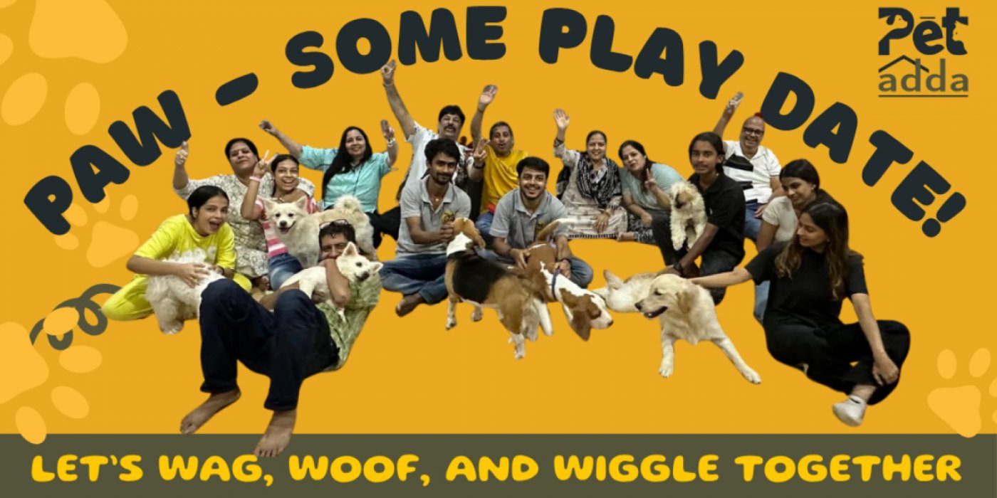 Pet Adda PAW-SOME PLAY DATE | Event in Mumbai | AllEvents