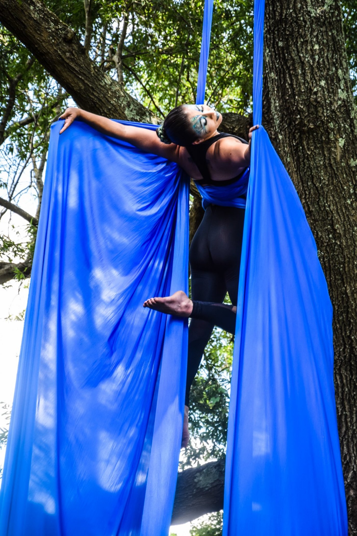 MetaMORPHOsis: The Life Cycle of the Blue Morpho Butterfly, 13 September | Event in Richmond | AllEvents