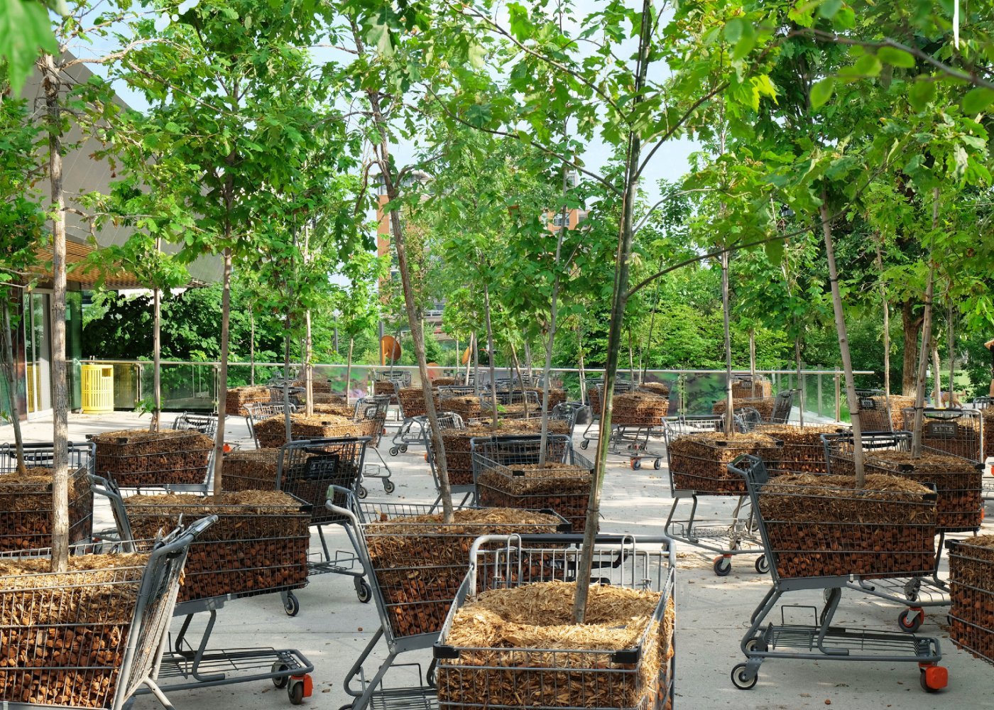 Moving Forest at Harbourfront Centre | Event in Toronto | AllEvents