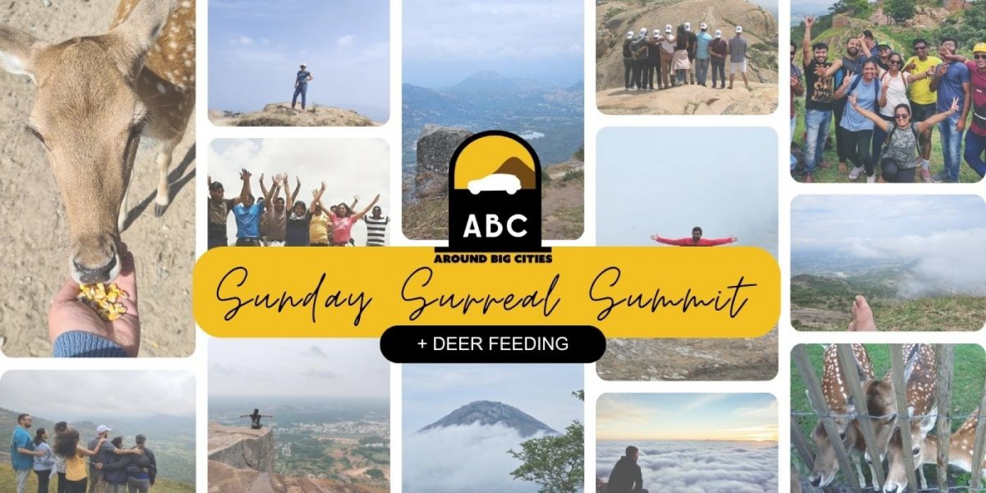 SURREAL SUNDAY SUMMIT + DEER FEEDING, 3 August | Event in Bangalore | AllEvents