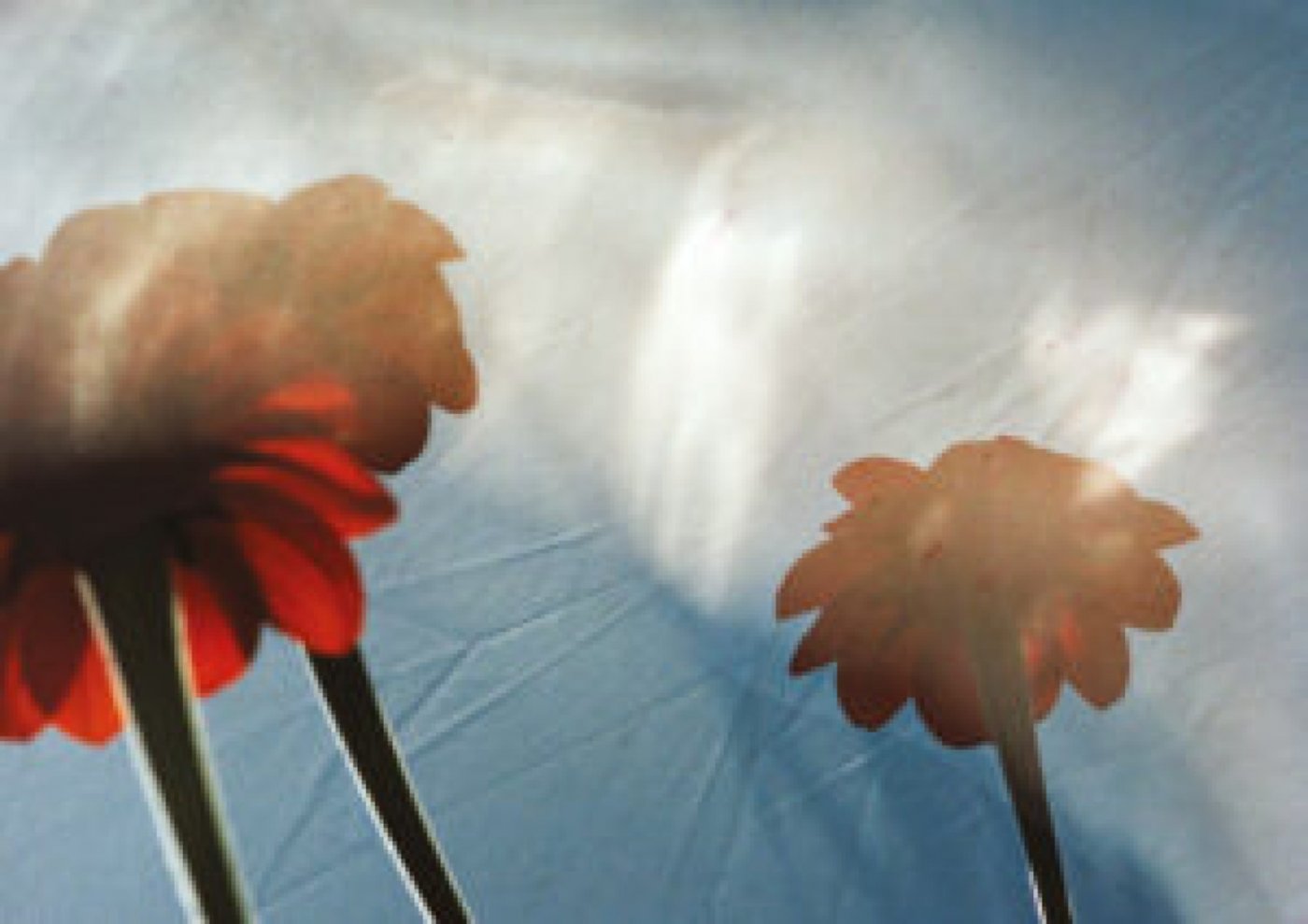 Shape and Form, 18 July | Event in Laughton | AllEvents