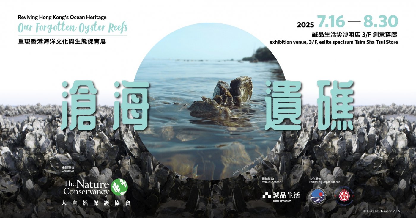 Reviving Hong Kong's Ocean Heritage – Our Forgotten Oyster Reefs | Event in Hong Kong | AllEvents