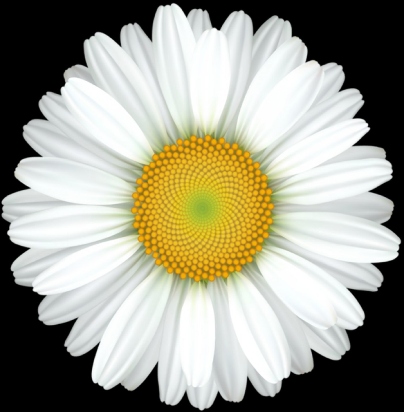 FLOWER ARRANGING CLASS, 6 August | Event in Lebanon | AllEvents