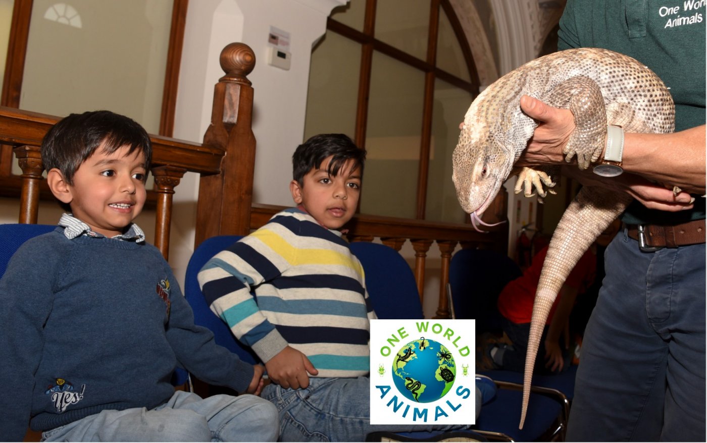 One World Animals - Maidenhead - 6th August 2025, 6 August | Event in Maidenhead | AllEvents