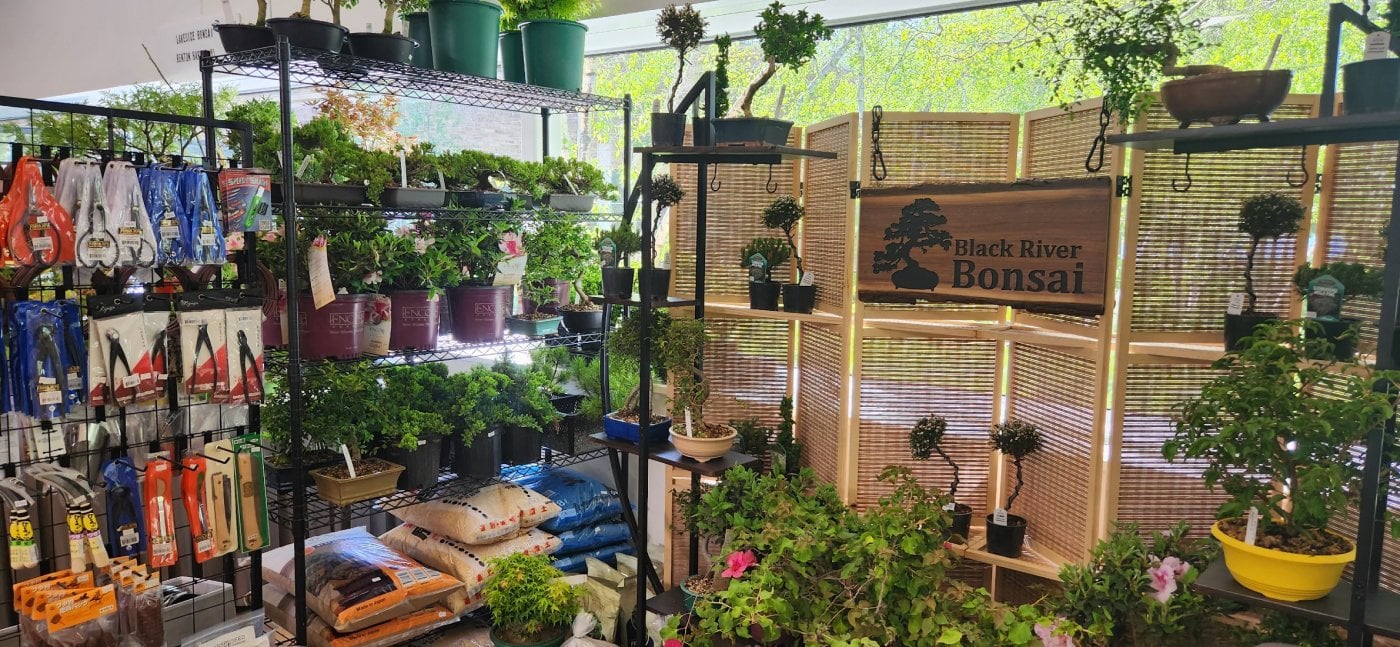 Bonsai in the Park, 2 August | Event in Avon | AllEvents