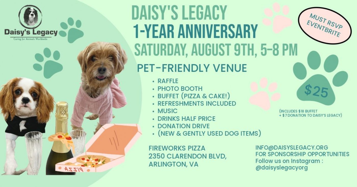 Daisy’s Legacy One-Year Anniversary Celebration, 9 August | Event in Arlington | AllEvents