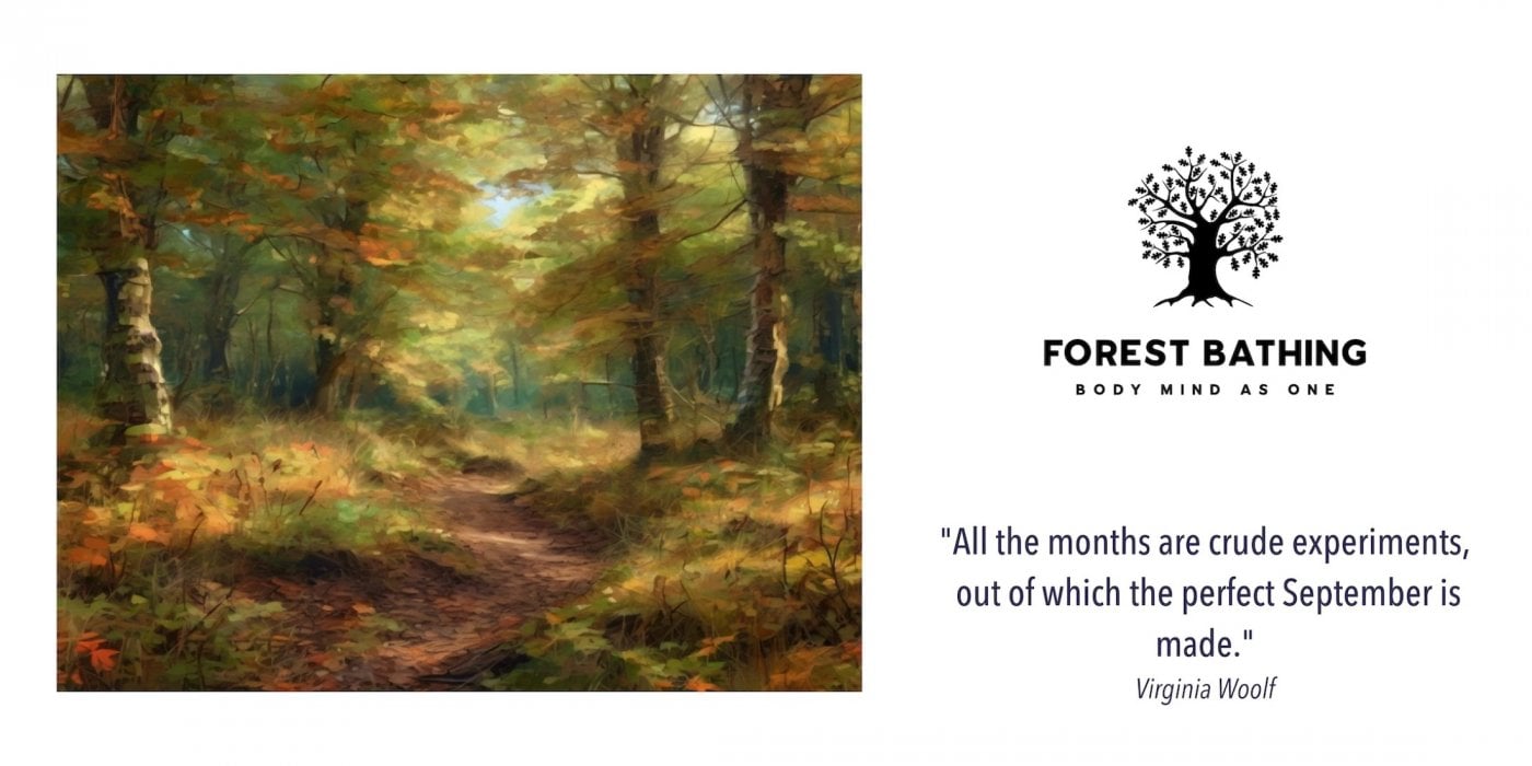 Late Summer Forest Bathing, 8 September | Event in Ipswich | AllEvents