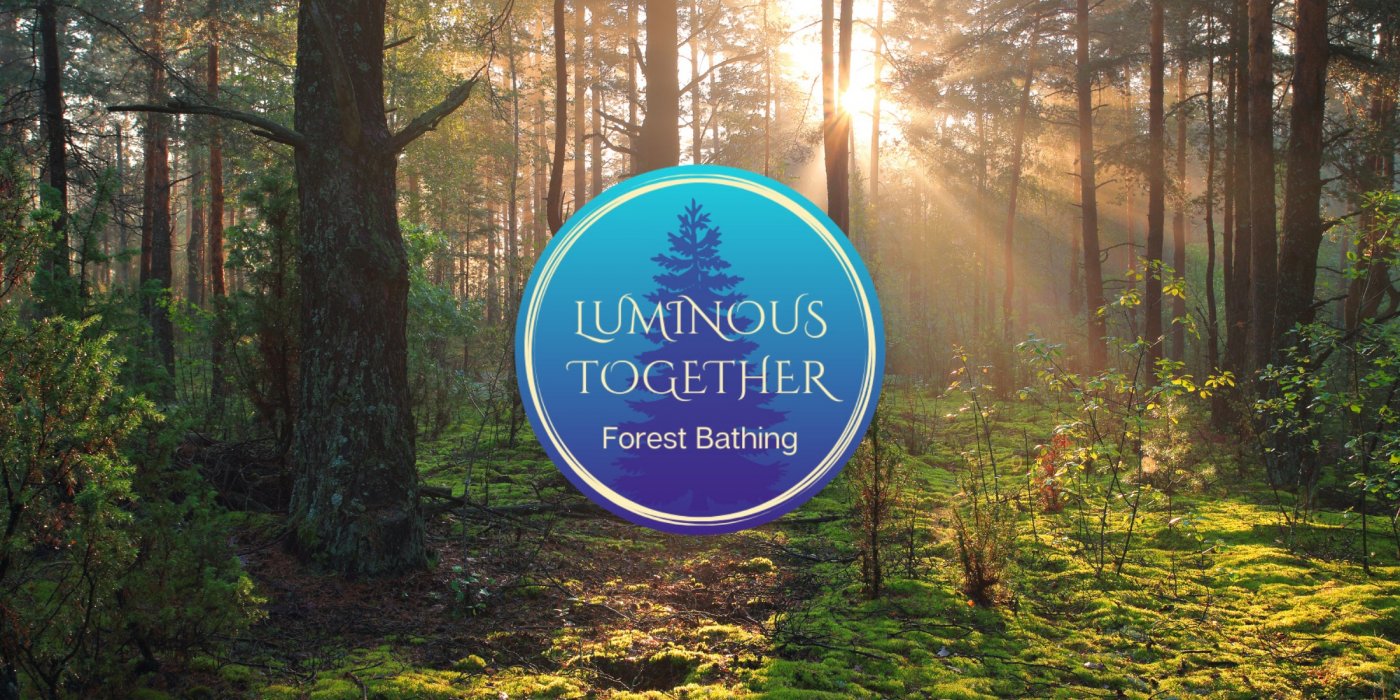 Luminous Together Forest Bathing Walk | Oxbow Regional Park , 9 August | Event in Gresham | AllEvents