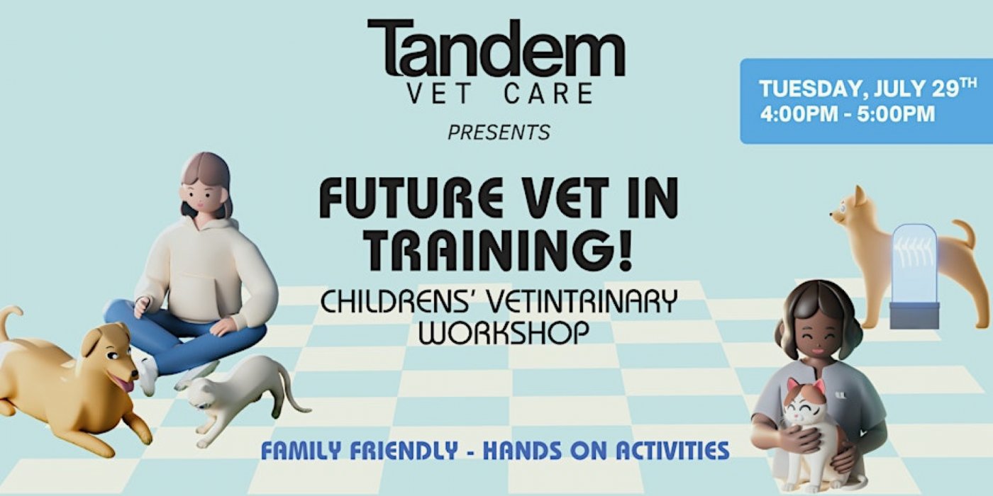 Future Vet in Training: Childrens’ Vet Workshop, 29 July | Event in Somerville | AllEvents