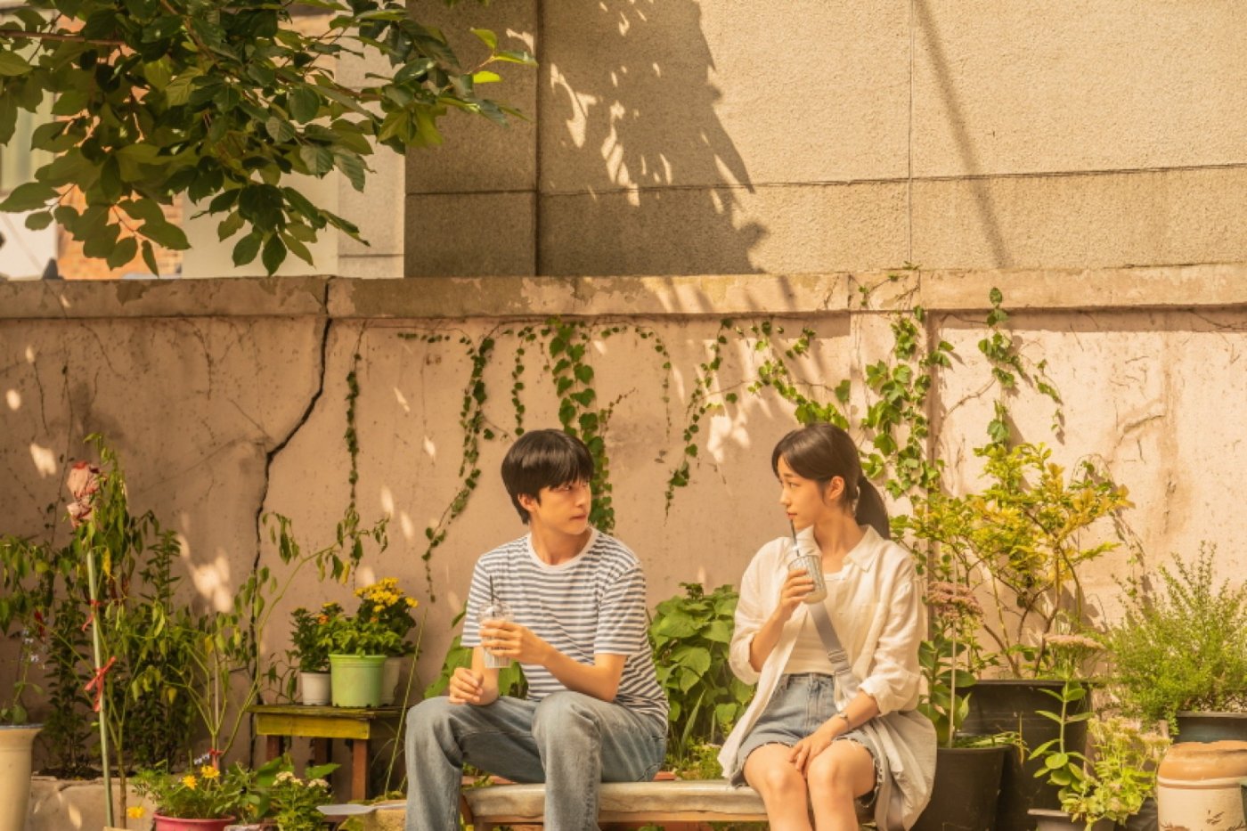 KOREAN FILM FESTIVAL IN AUSTRALIA 2025, 14 September | Event in Caloundra | AllEvents