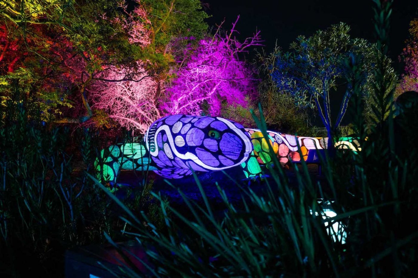 Opening Weekend FUSE Festival 2025, 5 September | Event in Melbourne | AllEvents