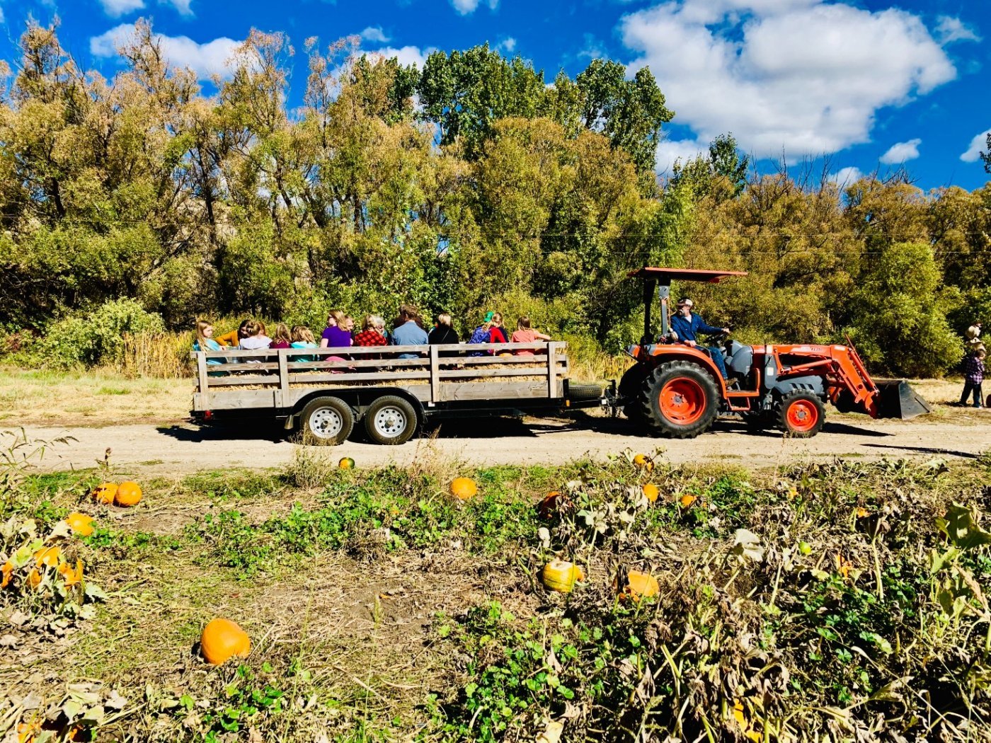 Schick-Ostolasa Historic Farmstead 16th Annual Old Time Farm Day, Sunday, September 28th from 12-5pm, 28 September