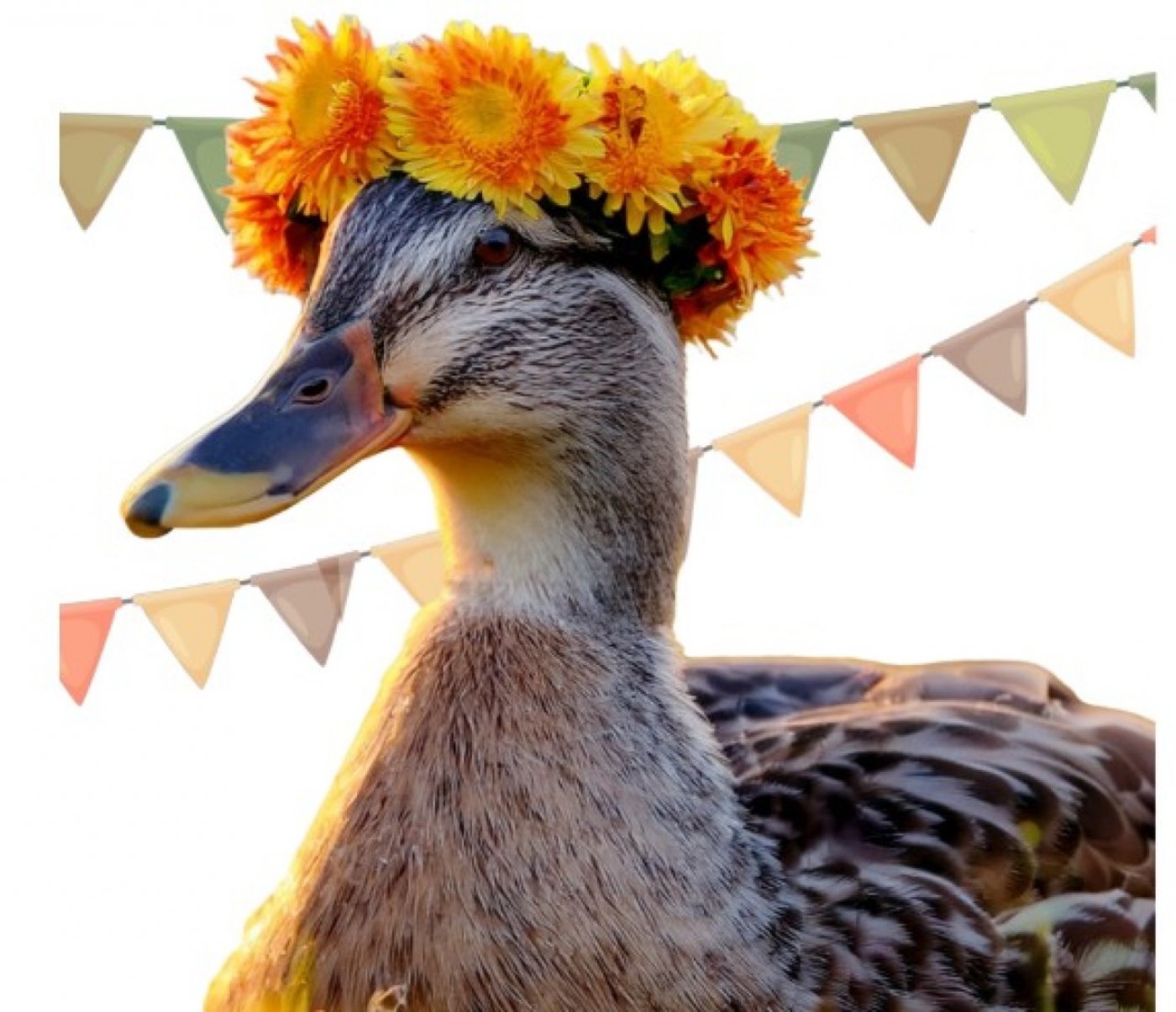Edmonton Ducks Unlimited Annual Dinner and Auction, 4 October | Event in Edmonton | AllEvents