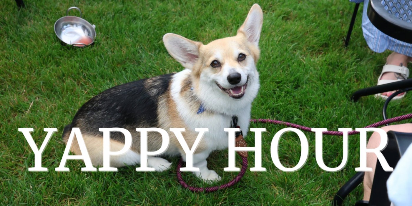 Yappy Hour in support of Clear Path for Veterans, 31 July | Event in Groton | AllEvents