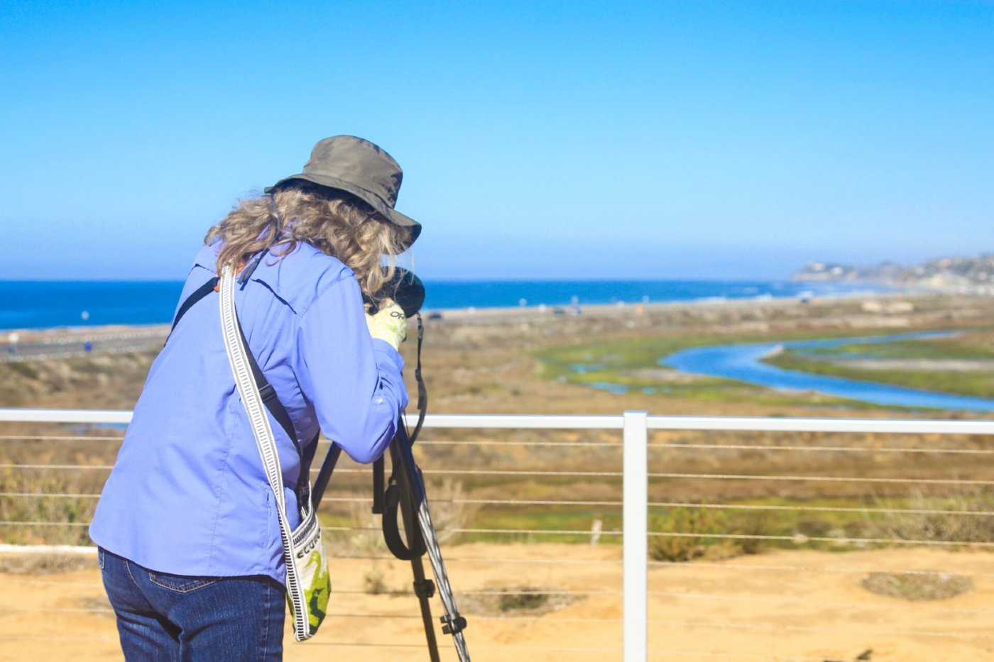 Nature Collective Hosts Wildlife Tour, 9 August | Event in Cardiff by the Sea | AllEvents