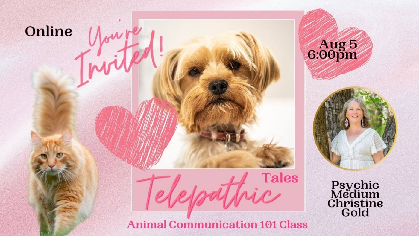 Telepathic Tales: Animal Communication 101, 5 August | Online Event | AllEvents