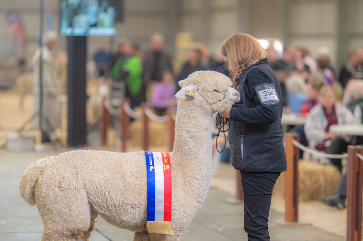 Australian Alpaca National Show, 8 August | Event in Bendigo | AllEvents