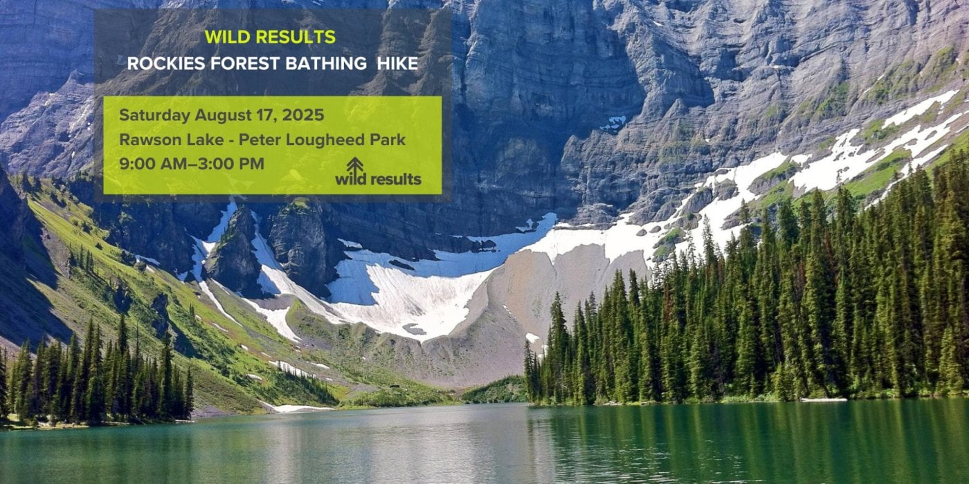 ROCKIES FOREST BATHING HIKE, 17 August | Event in Exshaw | AllEvents