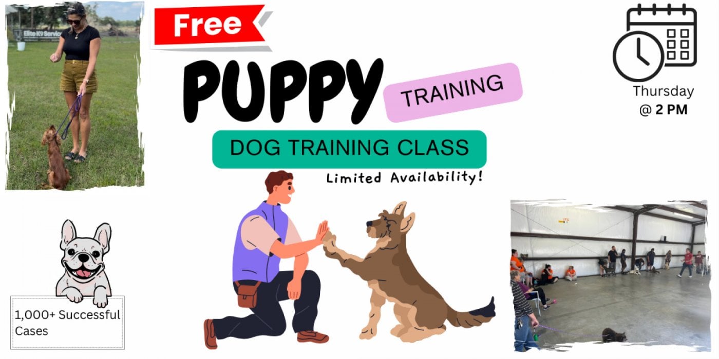 FREE Puppy Training Class, 31 July | Event in Plant City | AllEvents