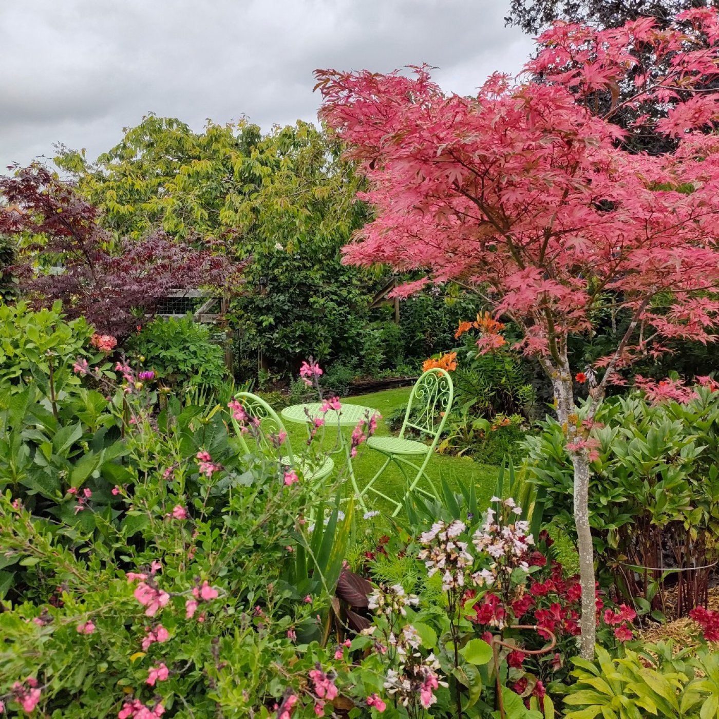 Gore A & P Beyond the gate garden tour & market day, 23 November | Event in Gore | AllEvents
