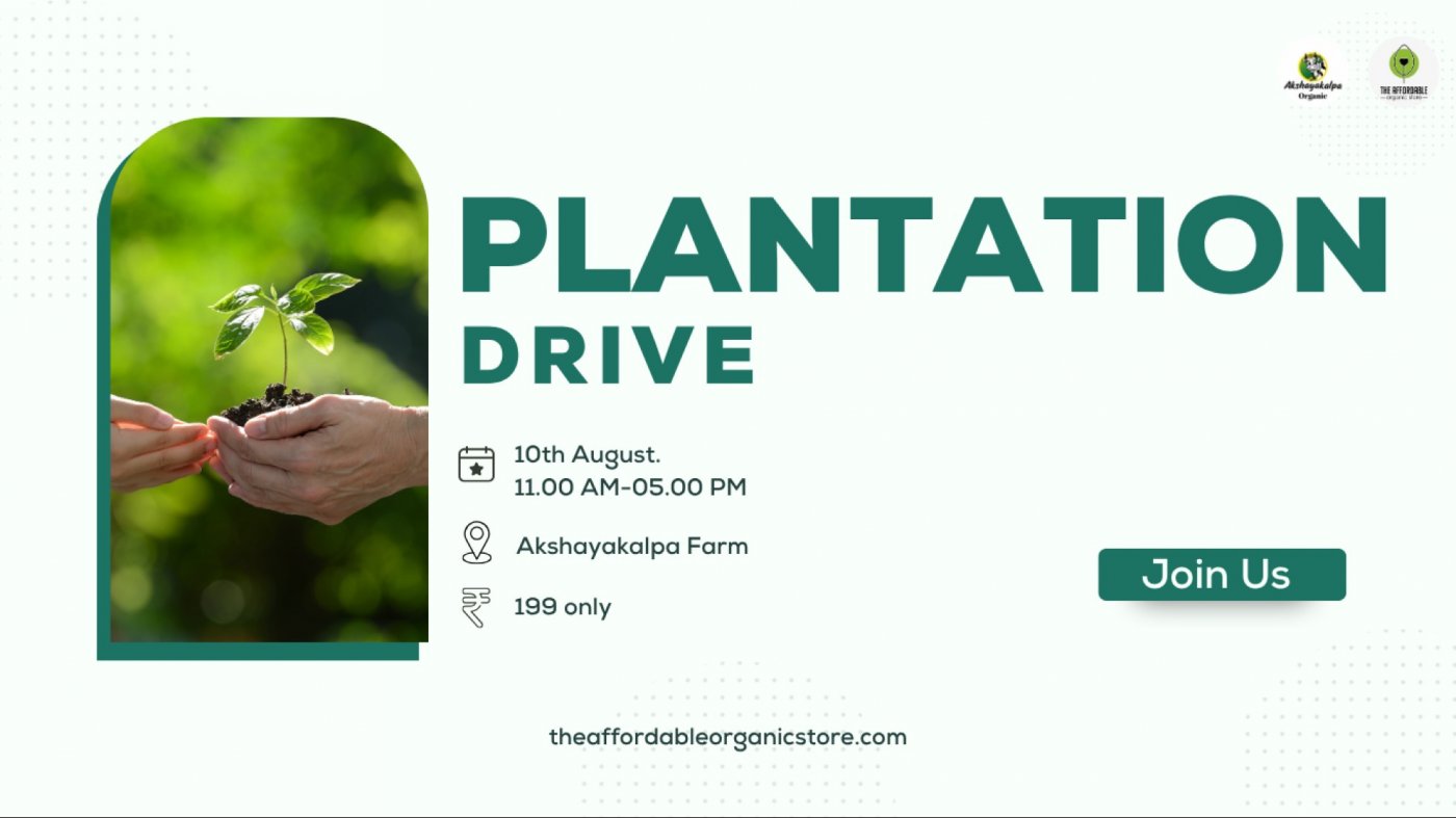 12th-plantation-drive-akshayakalpa-organic-agriculture-research-and