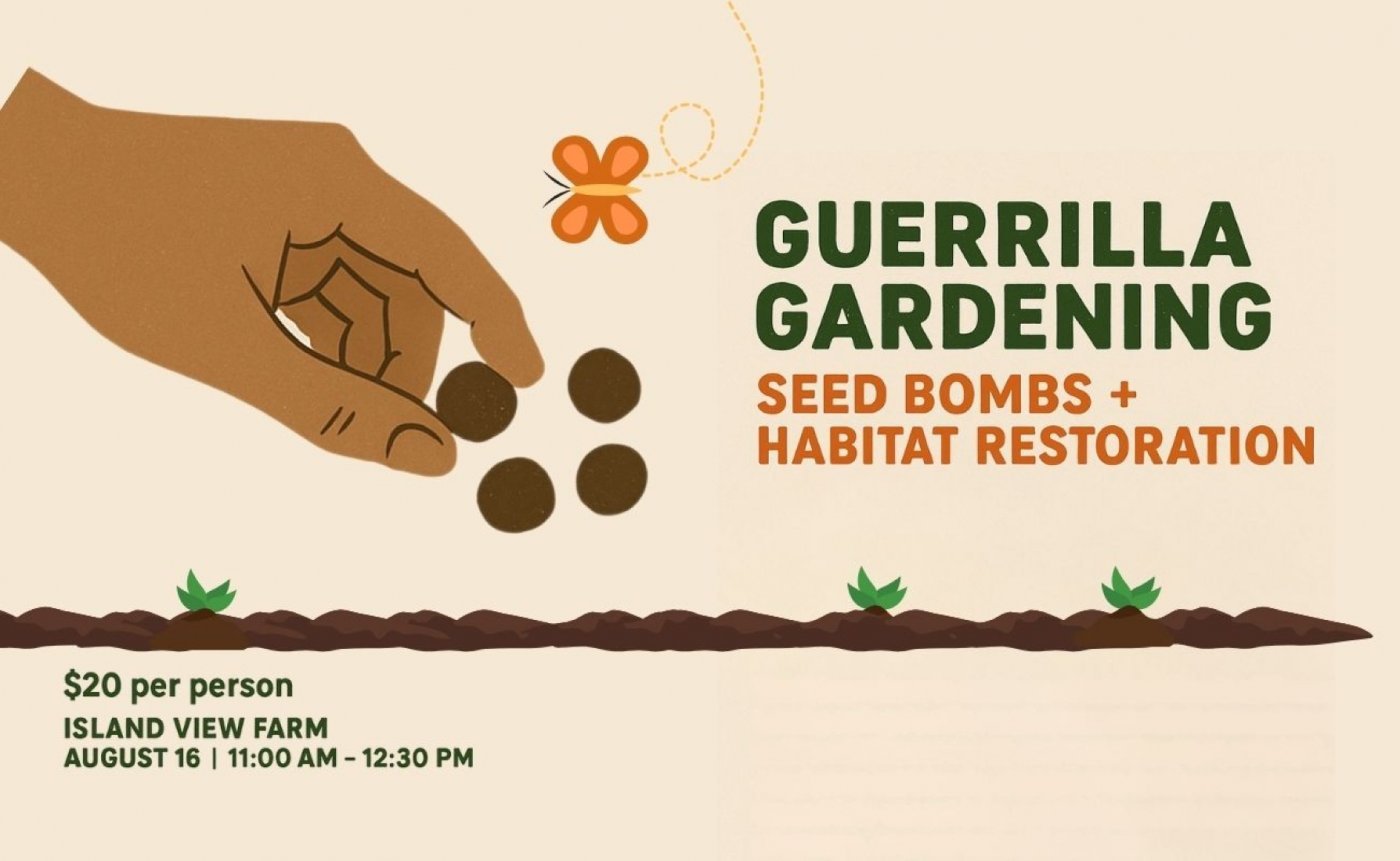 Guerrilla Gardening: Seed Bombs & Habitat Restoration Workshop, 16 August | Event in Saanichton | AllEvents