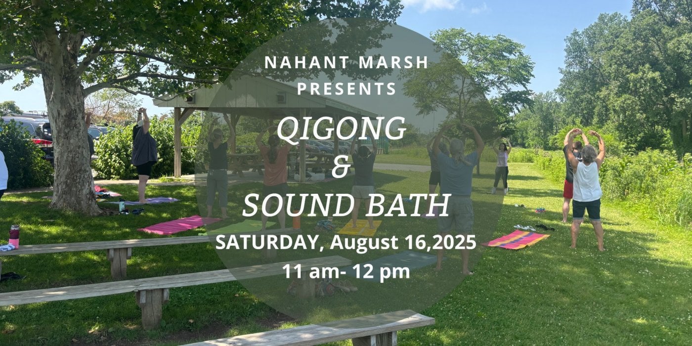 Qigong & Sound Bath at Nahant Marsh, 16 August | Event in Davenport | AllEvents