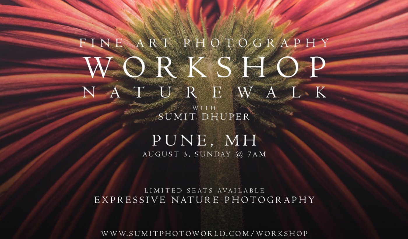 Nature Photography Workshop, 3 August | Event in Pune | AllEvents