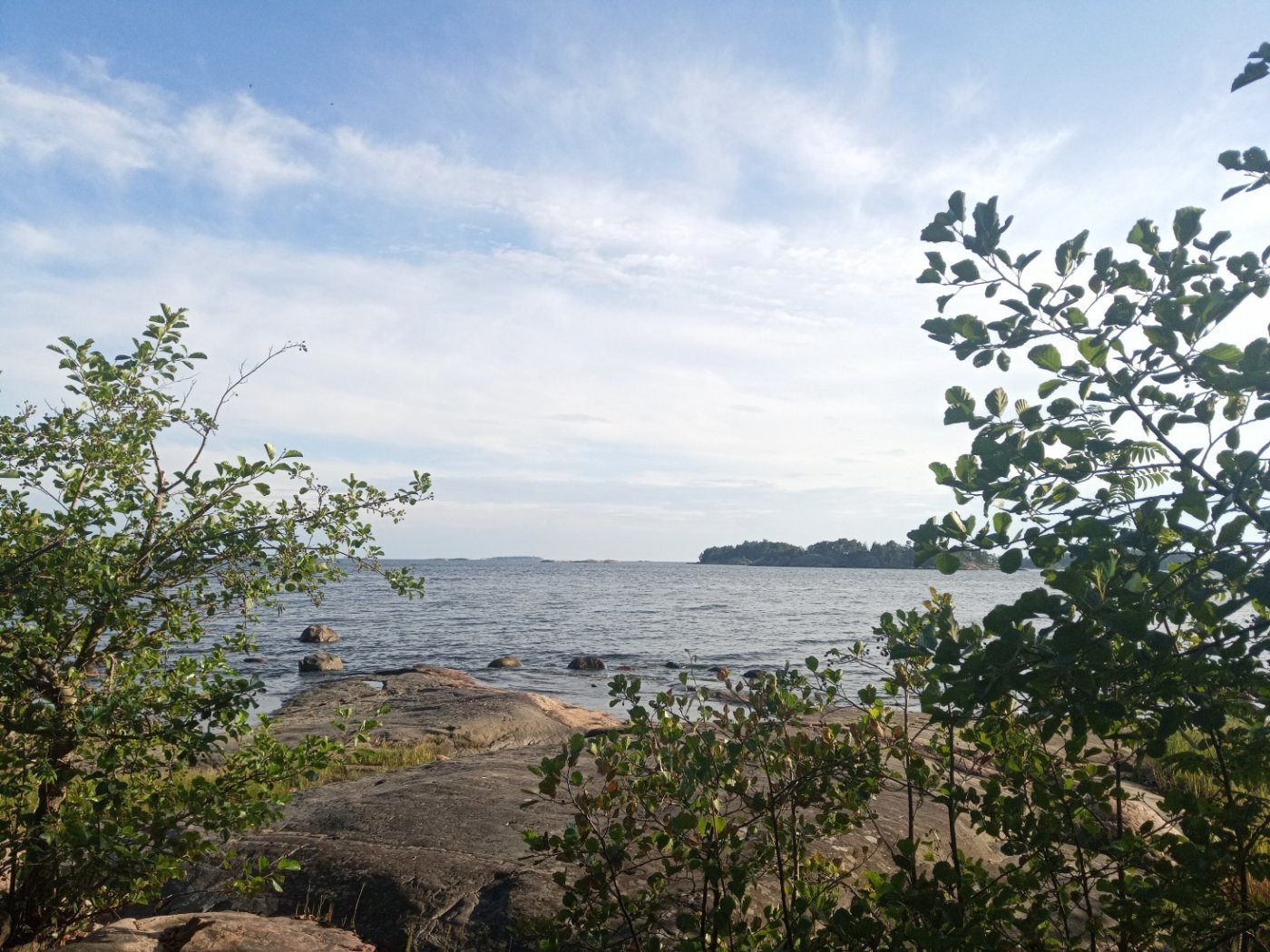 Nature retreat Luontoretriitti , 6 August | Event in Helsinki | AllEvents
