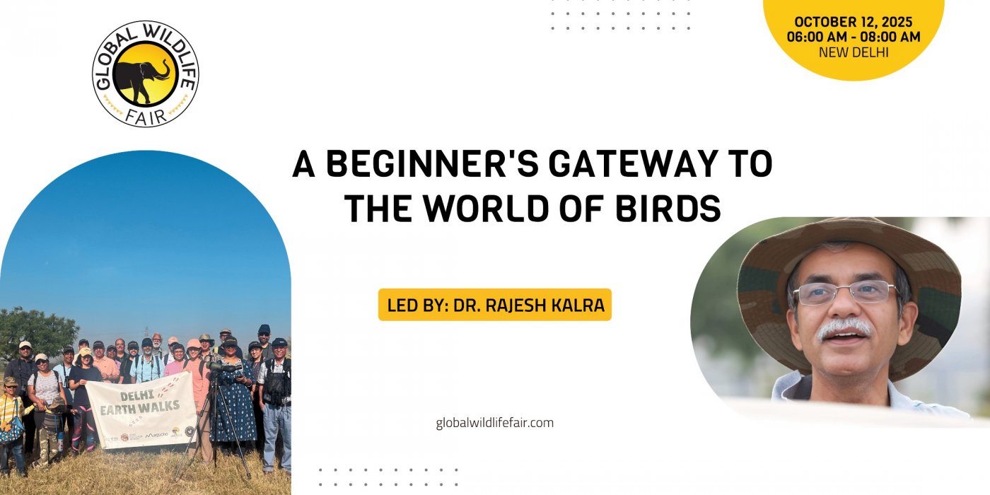 Birding Basics: A Beginner's Gateway to the World of Birds, 12 October | Event in New Delhi | AllEvents