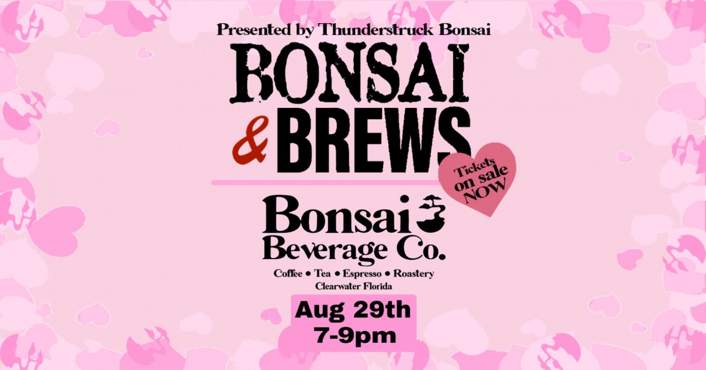Bonsai &amp; Brews at Bonsai Beverage Co., 29 August | Event in Clearwater | AllEvents