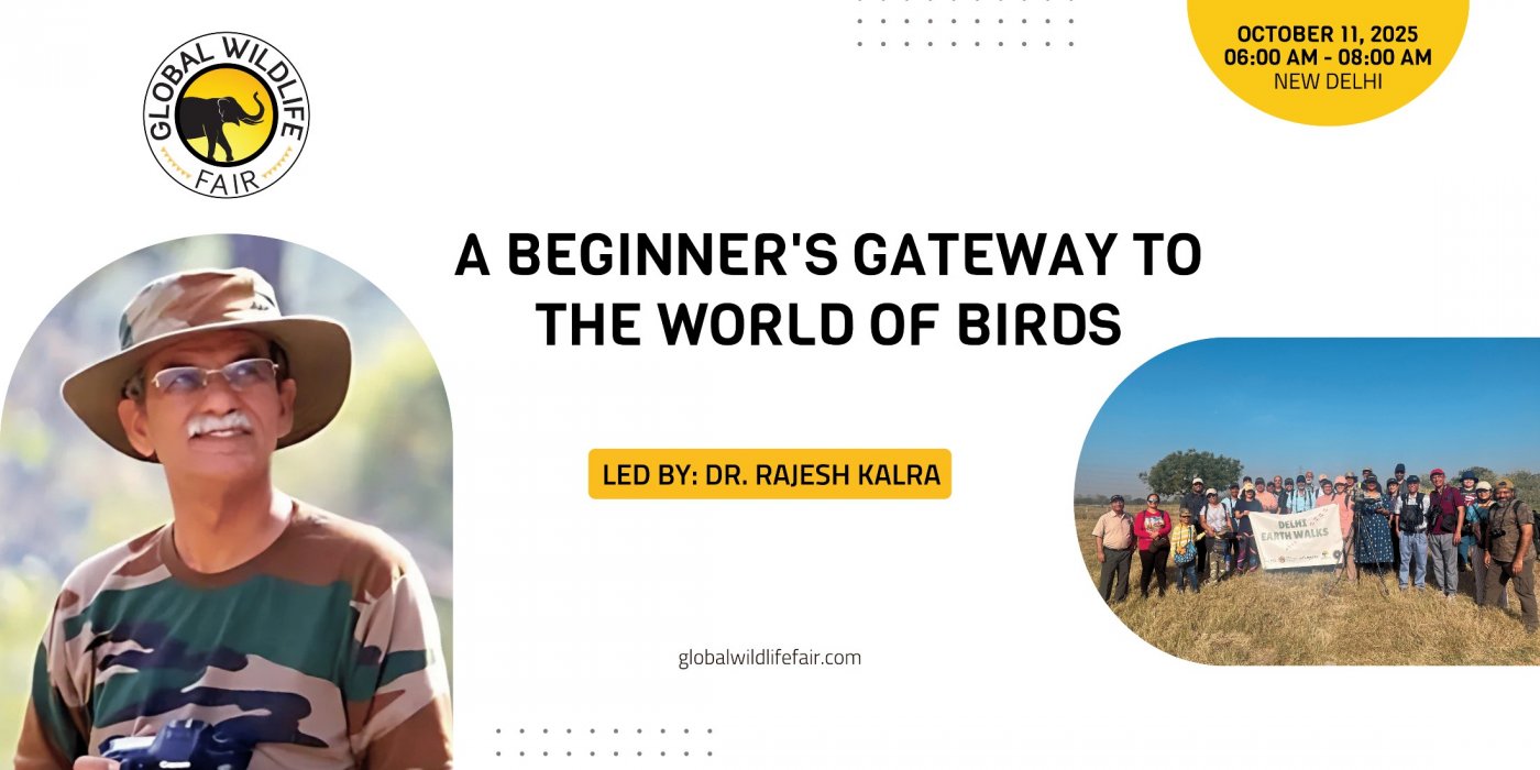 Birding Basics: A Beginner's Gateway to the World of Birds, 11 October | Event in New Delhi | AllEvents