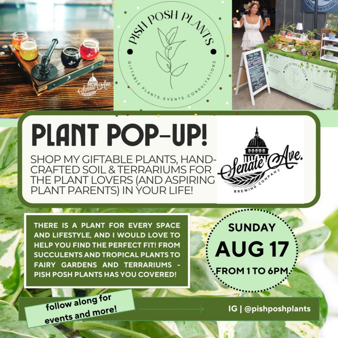 Pop-Up Shop @ Senate Ave. Brewing! | Event in Jersey Village | AllEvents