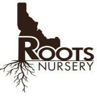 Roots Nursery