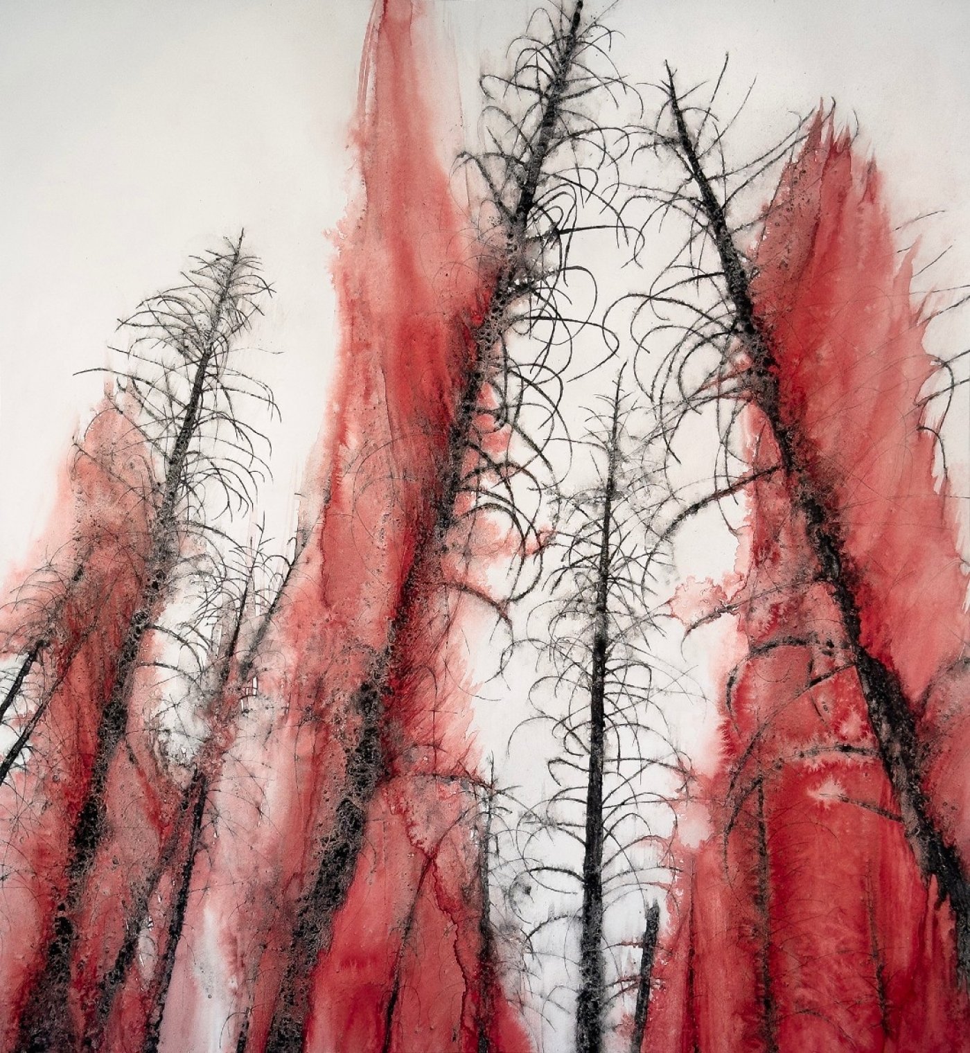 Catherine Chalmers - An Artist's Journey Into the Wild, 11 September | Event in Ann Arbor | AllEvents