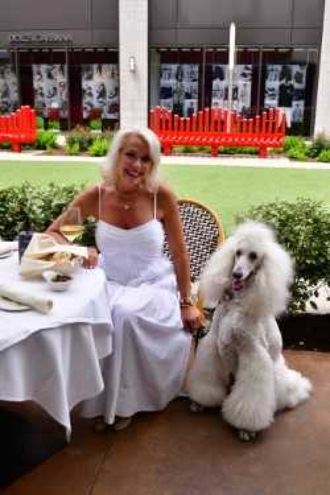 Paws At The Park, 28 August | Event in Houston | AllEvents