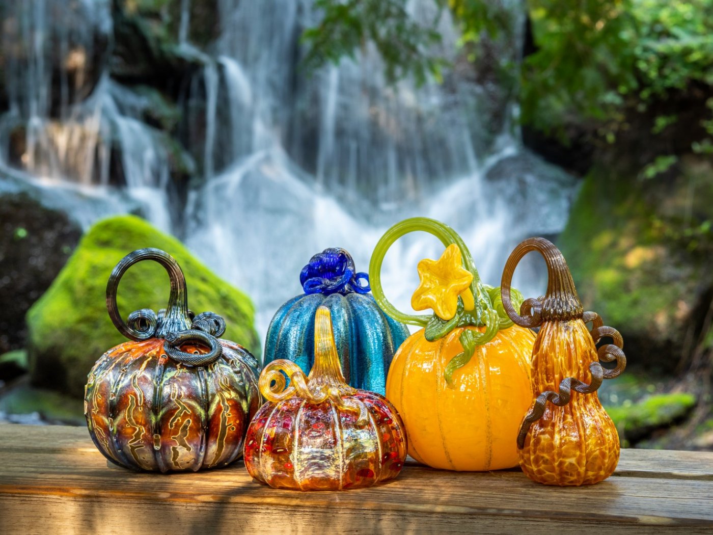 Glass Pumpkin Patch | Event in Chaska | AllEvents