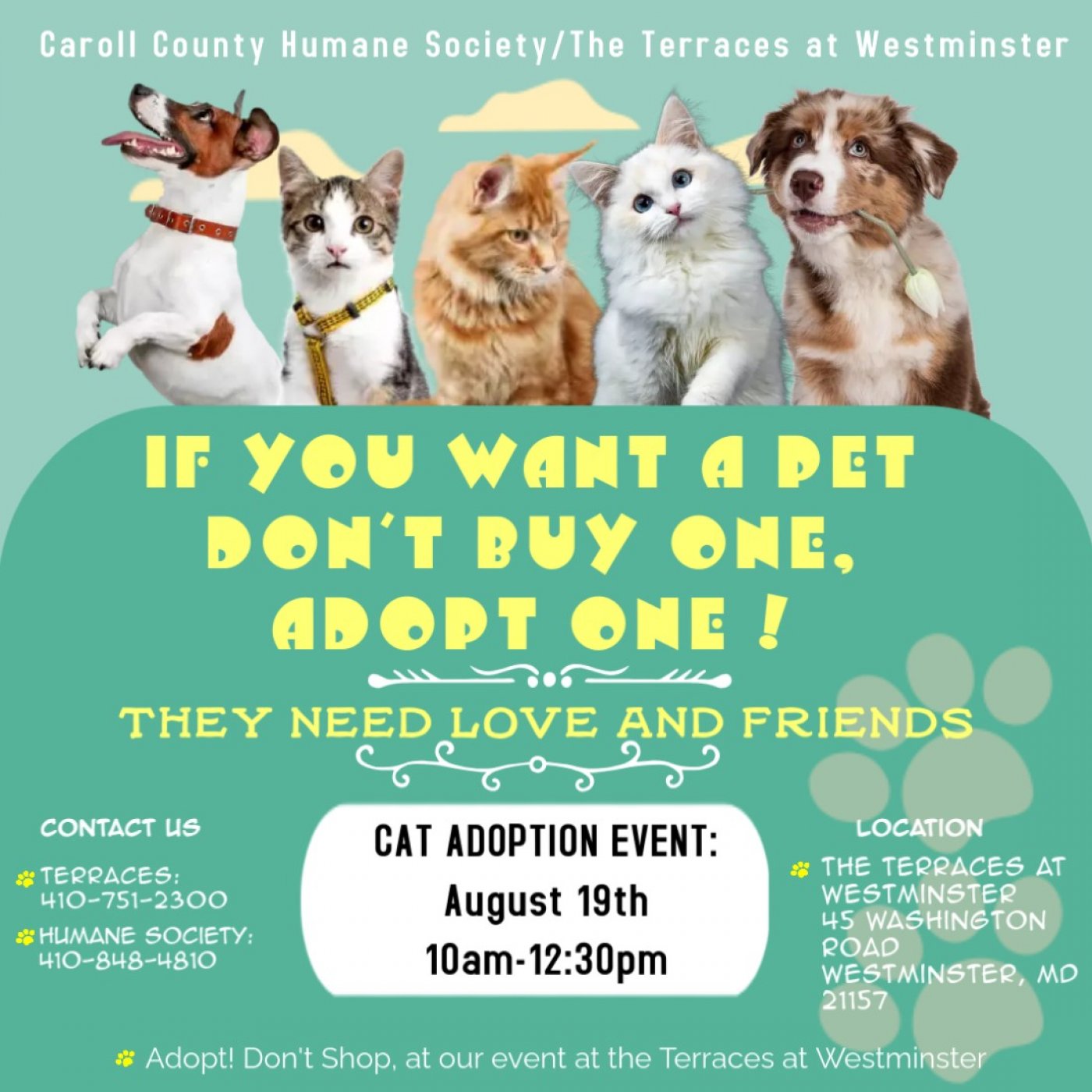 Aug. 19: Cat Adoption Event at The Terraces at Westminster, 19 August | Event in Westminster | AllEvents