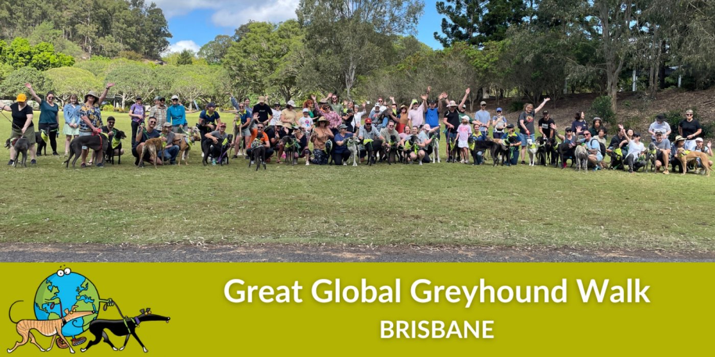 Great Global Greyhound Walk [BRISBANE], 28 September | Event in Arana Hills | AllEvents