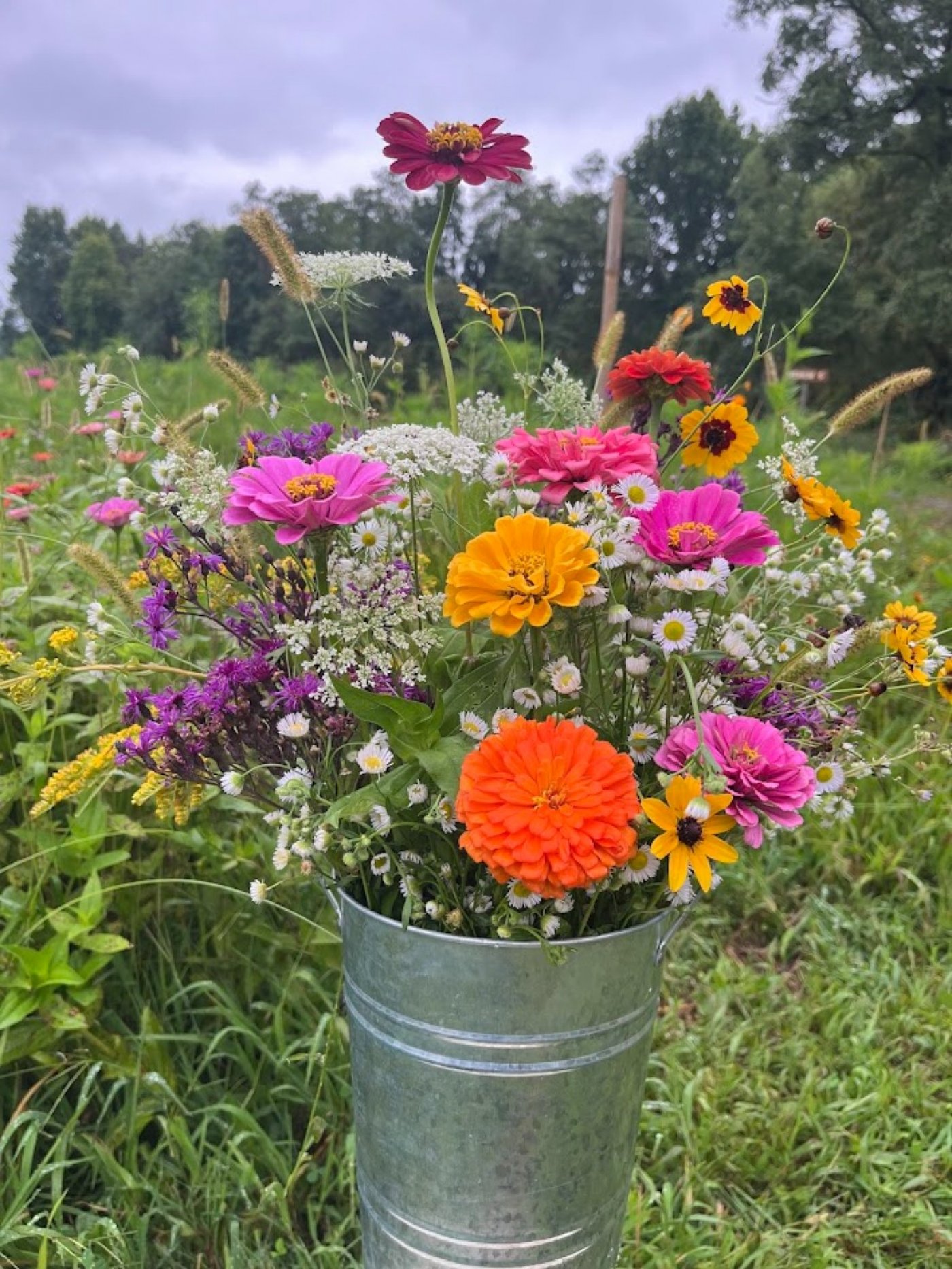 Cut Your Own Flowers at Pioneer Trails Tree Farm, 23 August | Event in Lowellville | AllEvents
