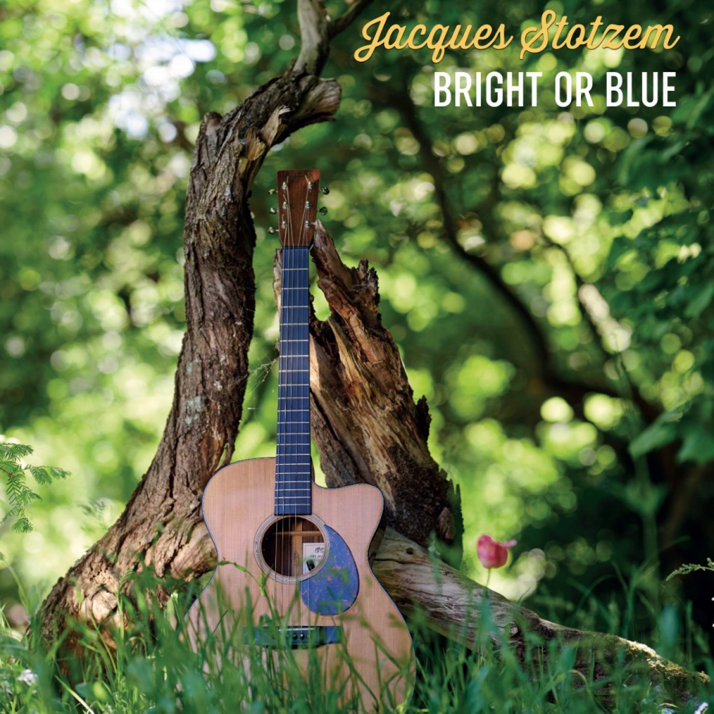 JACQUES STOTZEM : FINGERSTYLE WITH HEART AND SOUL, 13 September | Event in Charleroi | AllEvents
